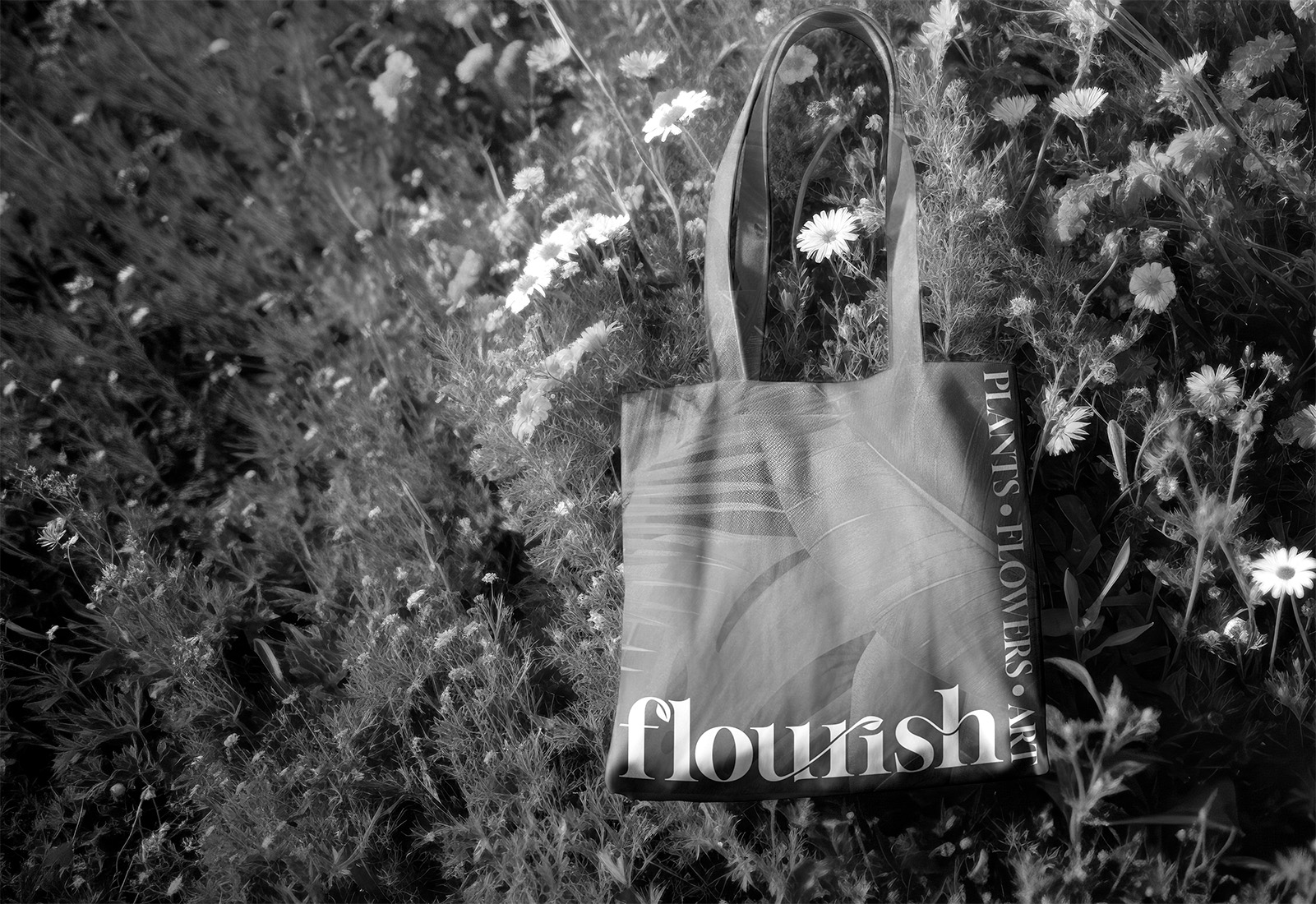 Flourish brand guide project preview
